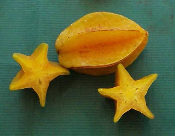 Where does star fruit grow?