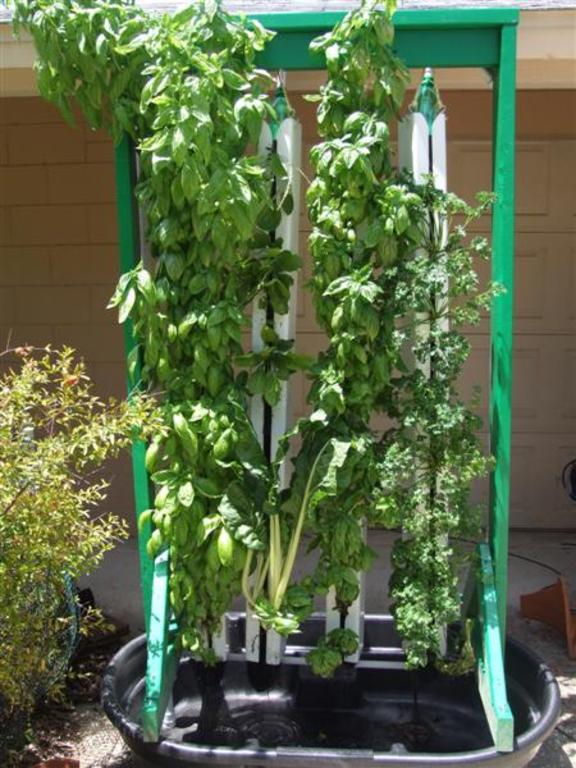 Frame_with_planted_towers_over_50_gallon_medium_