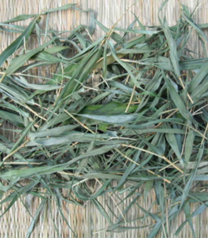 Dried_bamboo_leaf